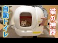 最新！全自動猫トイレ購入！我が家の猫は使ってくれるか？【PETKIT PURA MAX】