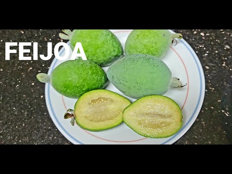 Video: Mida Süüa Feijoa