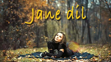 Jane Dil | Best Hindi Songs Mp3 Song Download | Original Song Download Mp3| Mp3 Skulls | Mp3 Skulls