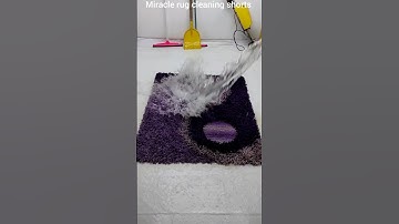 STOP Making These Carpet Cleaning Mistakes!