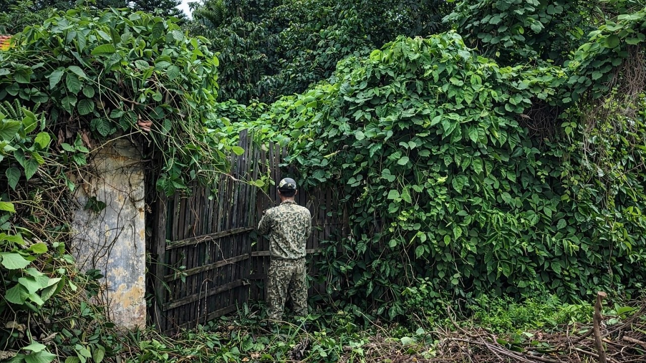 Extreme Cleanup of an Abandoned House with a Huge 1,500m² Garden