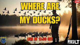 Where Are My Ducks? Let's Find Them | BULT Hunting Simulator