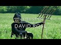 The best of david rose