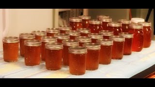 CANNING: Apple & Pear Fruit Syrup/Honey