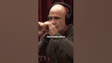 How to breathe properly (part 2) #joerogan #podcast