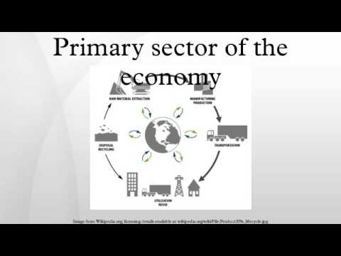 primary sector economy natural