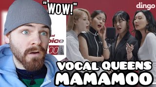 Download Lagu First Time Hearing MAMAMOO \ MP3 Download Lagu First Time Hearing MAMAMOO \ MP3