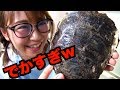 【飯テロ】巨大牡蠣をこじ開けたら中から宝石出て来た【激闘】