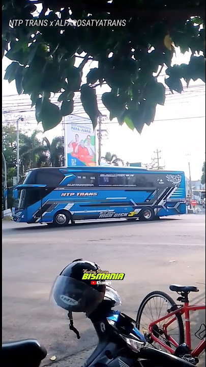 Nada Basuri Cicit Cuit Virall #teloletbasuri #ntptrans