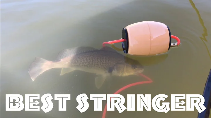 Best Fish Stringer by ForEverlast | G2 Pro Fish St...