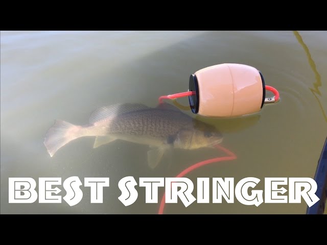 4 of the Best Fish Stringers and How to Use the Common Types