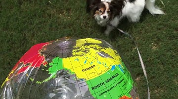 Week 1 Cycle 2 CC Science Lab - VanCleave