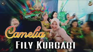 CAMELIA. FILY DWIFE LIVE KP KANCAH
