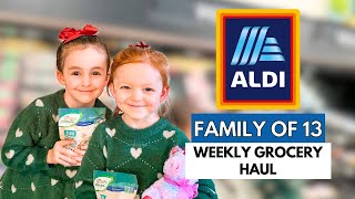 Shopping With KIDS! WEEKLY ALDI GROCERY HAUL + Bonus Family Recipe!