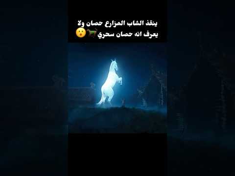 ينقذ الشاب المزارع حصان ولا يعرف انه حصان سحري 