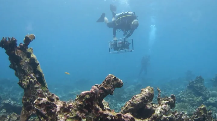 A Guide to Large-Area Imaging for Coral Reef Monitoring, Research and Restoration