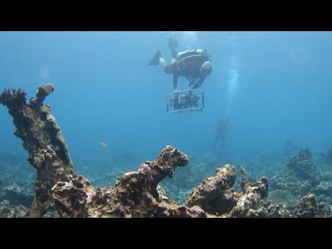 A Guide to Large-Area Imaging for Coral Reef Monitoring, Research and Restoration