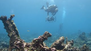 A Guide to Large-Area Imaging for Coral Reef Monitoring, Research and Restoration