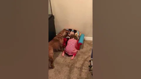 Hide and seek