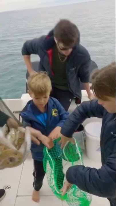 how-does-a-fish-scaler-work-youtube