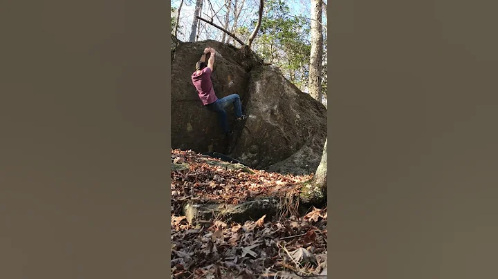 Umstead State Park Boulders "Larrys Song" V2