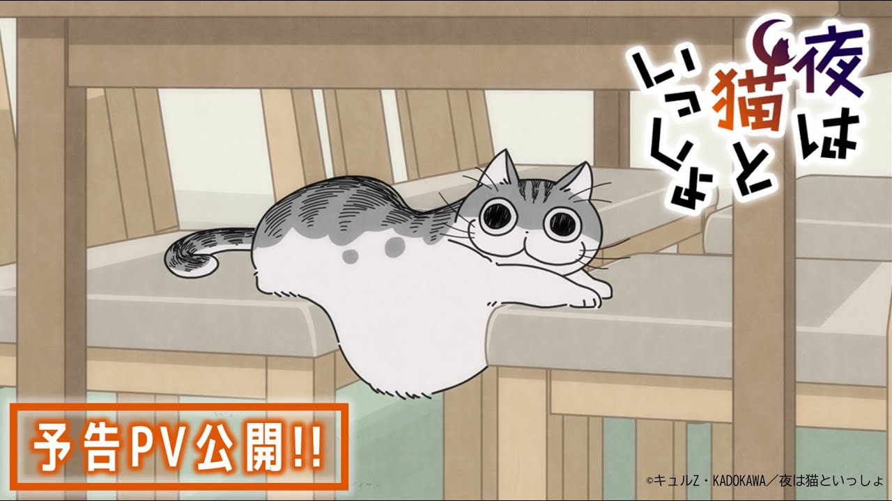アニメ 夜は猫といっしょ 予告pv 8 3 水 より放送 配信スタート Youtube