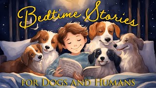 Maddie and the Moonlight Pearl 🐚 A Heartwarming Adventure Story for Dogs and Humans of All Ages by Merlin's Realms - Music for Dogs and Humans 261 views 4 months ago 18 minutes