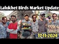 Lalukhet Birds Market Karachi Latest Update 17-11-2024 | Cheapest Birds Market Review in Urdu/Hindi