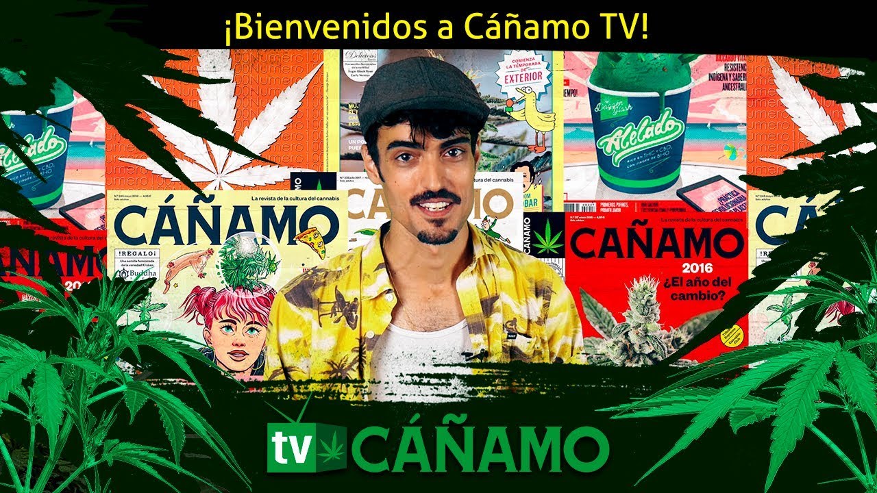 Bienvenidos a Cáñamo TV, nuestros primeros seguidores nos saludan