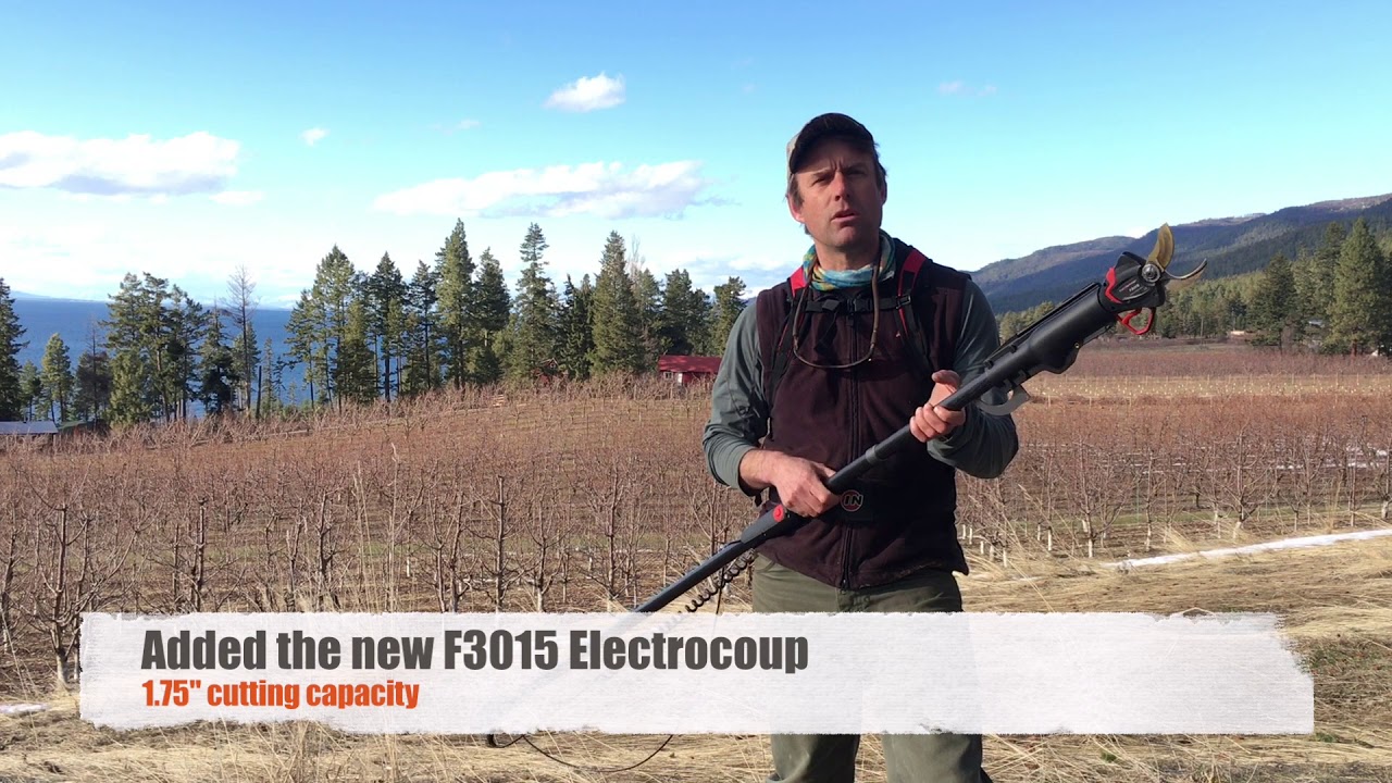 Cherry Grower Testimonial