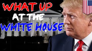 What Up at the White House recap: Trump at war with Morning Joe, wins at winning