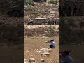 فلسطينيون يشتبكون مع جنود إسرائيليون احتجاج اعلى بؤرة في رابا بالضفة الغربية Shorts Short فلسطينيون يشتبكون مع جنود إسرائيليون احتجاج اعلى بؤرة في رابا بالضفة الغربية Shorts Short