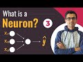 What is a neuron? | Deep Learning Tutorial 3 (Tensorflow Tutorial, Keras & Python)