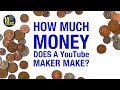 How Much Money Do I earn from YouTube? [video 376]