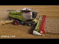 Harvest 2021 - F S Watt's Lexion 770TT in wheat