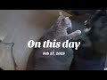 🐈⬛❤️🙏🐕🌟🐶💝💪 #onthisday #animallovers #muscles #devotional