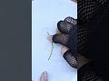 ডাল ফোড় #yesminscreativeworld #embroideryworld #embroidery #handembroidery