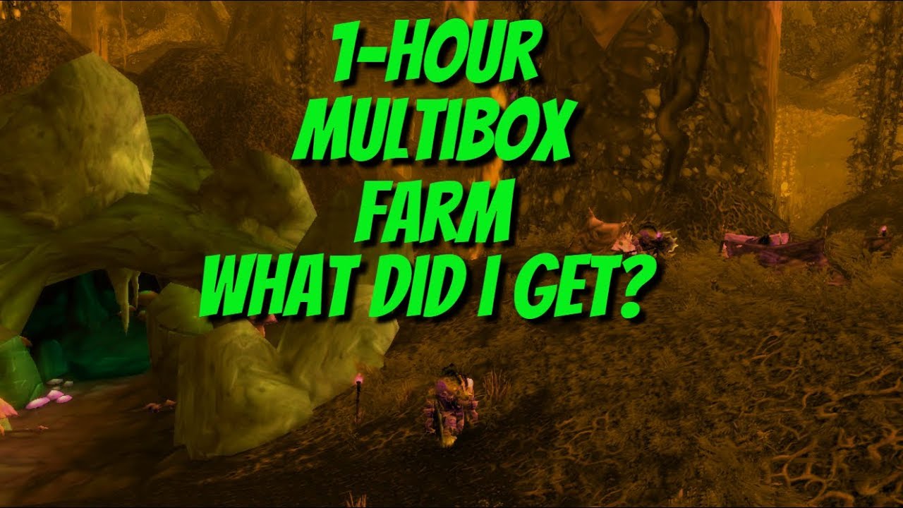 WOW Woodpaw Den Multibox Farm