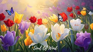 The Power of Relaxing Music: How This Soothing Playlist Can Melt Away Your Worries by Soul Of Wind 37 views 12 days ago 3 hours