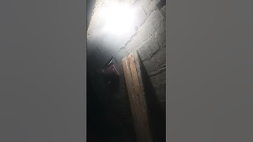 surah ikhlas ki surat surah ikhlas ki telawat #سورة_الإخلاص #ikhlas