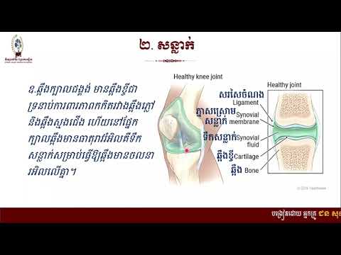 # ជីវវិទ្យាថ្នាក់ទី១០ #ជំពូក៤ ជីវវិទ្យាមនុស្ស# មេរៀនទី១ ប្រព័ន្ធគ្រោងឆ្អឹង (តចប់)