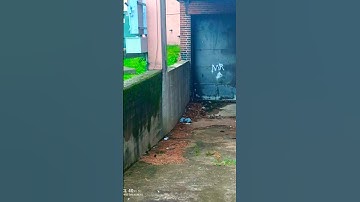 #Randompost#Random#Photos#Cameraroll#Photodump#Ytshorts#Yt#Shorts#Fyp