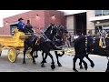 Clydesdale and Percheron Six Horse Hitch