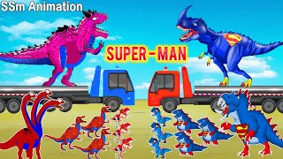 Rescue Team SPIDER-MAN vs SUPER-MAN Dinosaurs : Tyrannosaurus BRACHIOSAURUS Carnotaurus - FUNNY ???