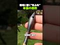 戦場に響く“叫ぶ矢”本当の目的