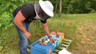 Checking Mating NUC’s