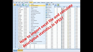 SPSS: Add excel file and calculate descriptive statistics