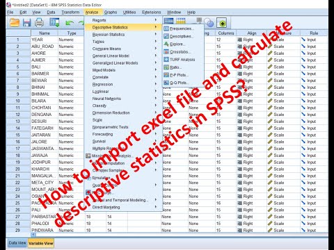 SPSS: Add excel file and calculate descriptive statistics