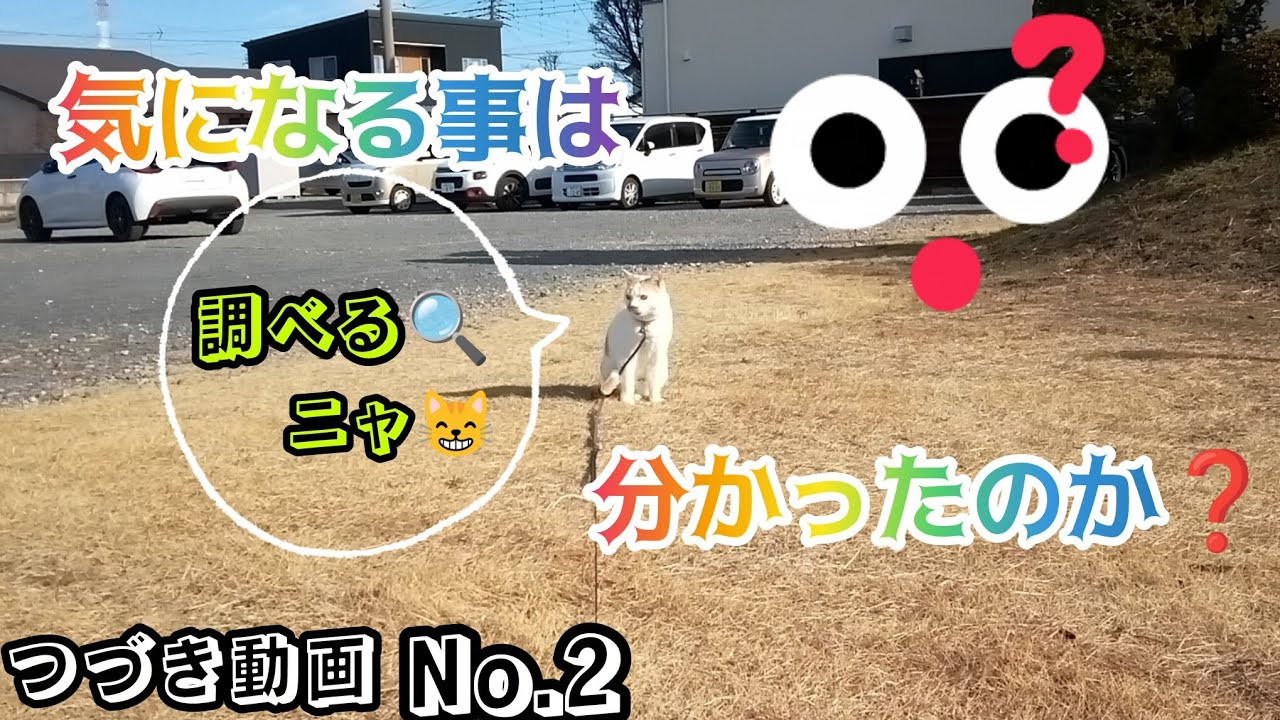 前回の続き📹️🎞️　気になる事が・・・なんだったのか❓🤔分かったのかな❓💦