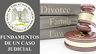 Court Case Basics   Judge Counts  Spanish